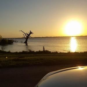 Meet your Posher, Rhonda